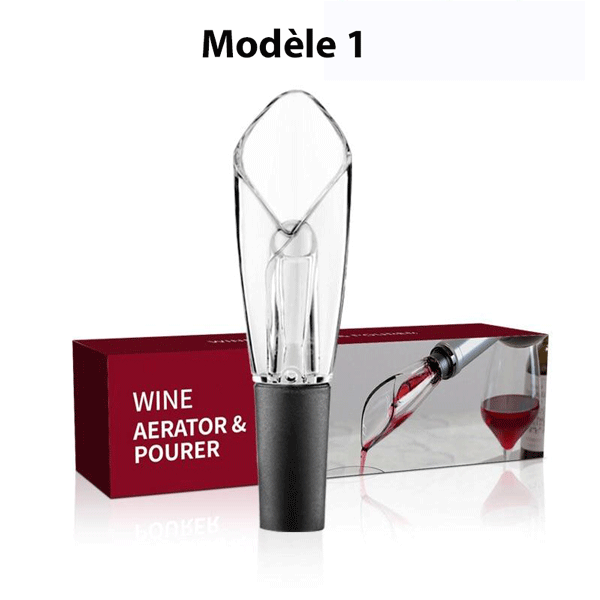 Décanteur de vin express
